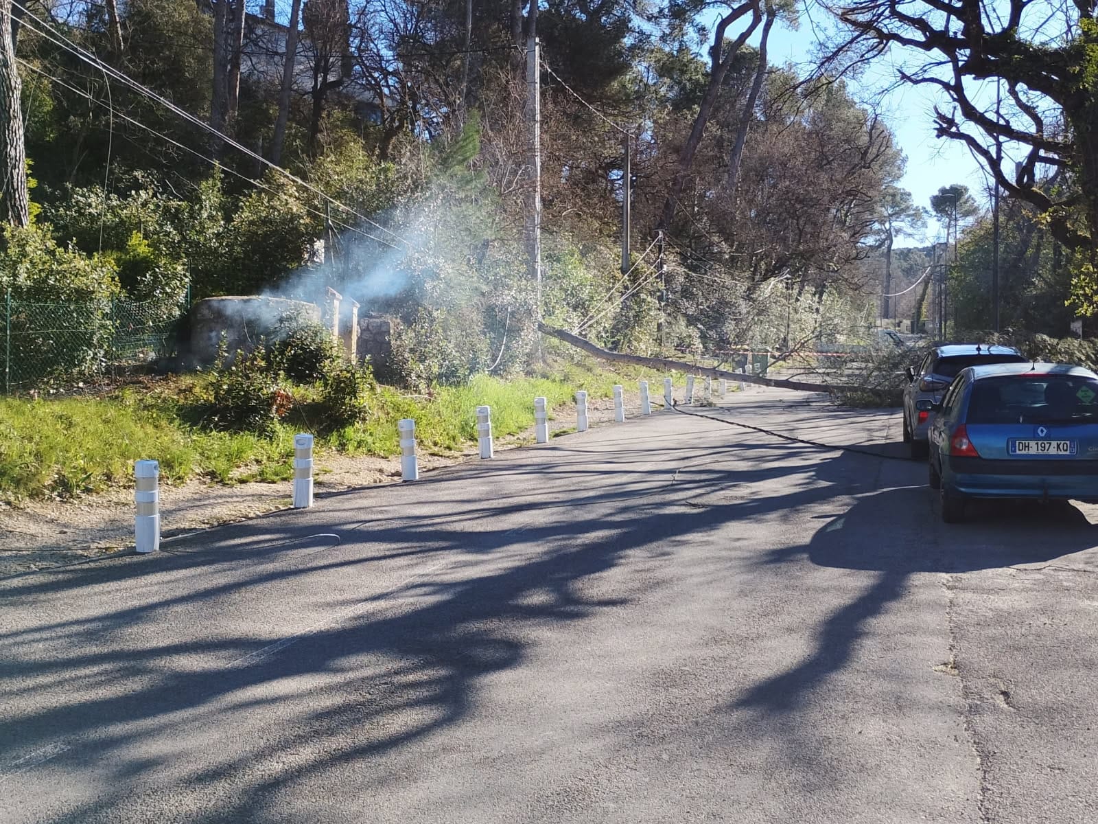 Whatsg hbApp Image 2026-04-02 at 09.22.27